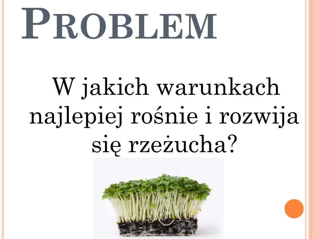 Doświadczenie Z Rzeżuchą Klasa 5 PPT - Doświadczenie z RZEŻUCHĄ PowerPoint Presentation, free download