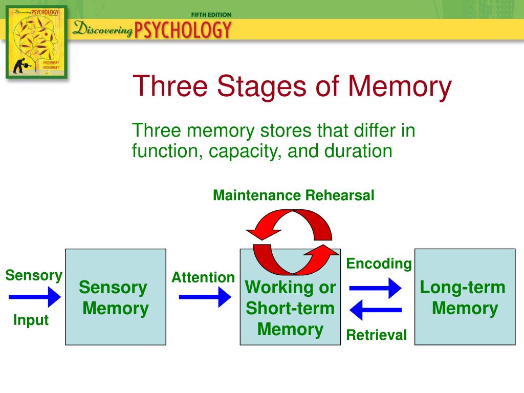 PPT - Chapter 6: Memory PowerPoint Presentation, free download - ID:5639883