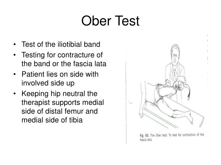 PPT Hip and Pelvis PowerPoint Presentation ID5640480 PPT Hip and Pelvis PowerPoint Presentation ID5640480