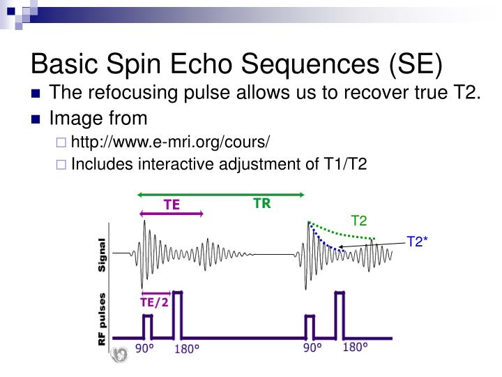 PPT MRI Physics Just The Basics PowerPoint Presentation ID 5644565 PPT MRI Physics Just The Basics PowerPoint Presentation ID 5644565