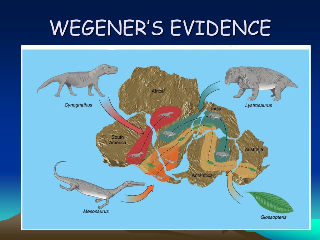 wegener-s-evidence-for-continental-drift-genie-minier-minig