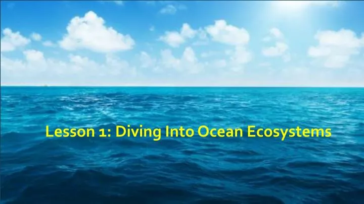 lesson 1 diving into ocean ecosystems n.