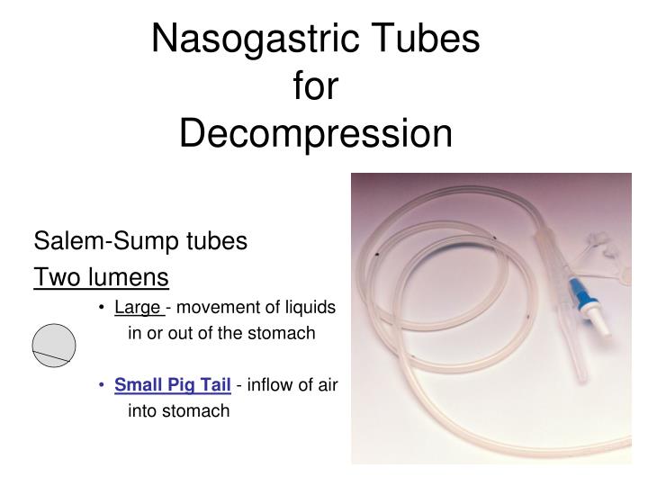 Ppt Nasogastric Tubes Lab I Part Ii Powerpoint Presentation Free | The ...