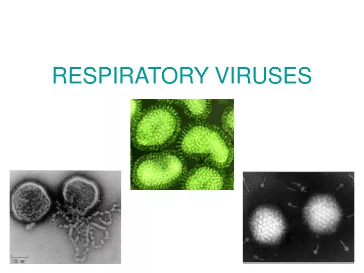 LIST OF RESPIRATORY VIRUSES visual data 8