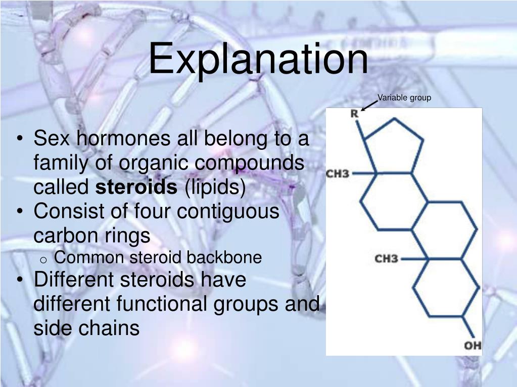 Ppt Ib Chemistry Opt B Human Biochemistry Powerpoint Presentation Free Download Id 5647718