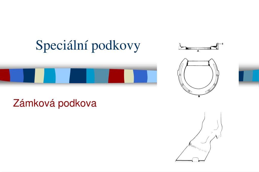 PPT - STAVBA KOSTI PowerPoint Presentation, free download - ID:5647759