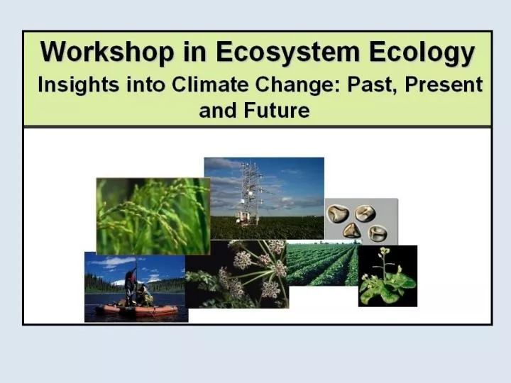 slide1 n.