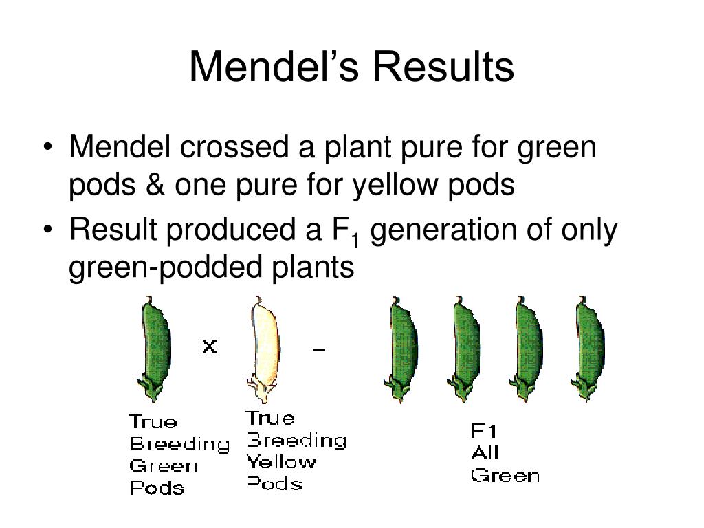 Produce results