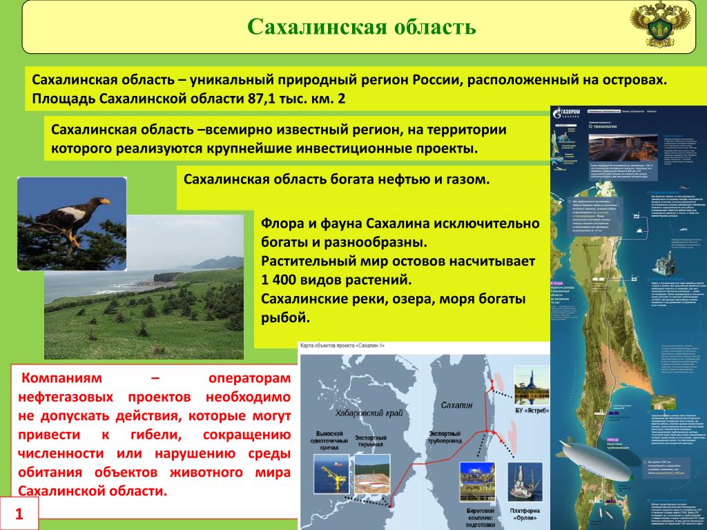 Сахалин относится к. Остров Сахалин Сахалин-2. Экология Сахалинской области. Информация о Сахалине. Экологическая ситуация Сахалина.