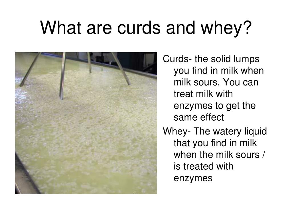 PPT What Are Curds And Whey PowerPoint Presentation Free Download 