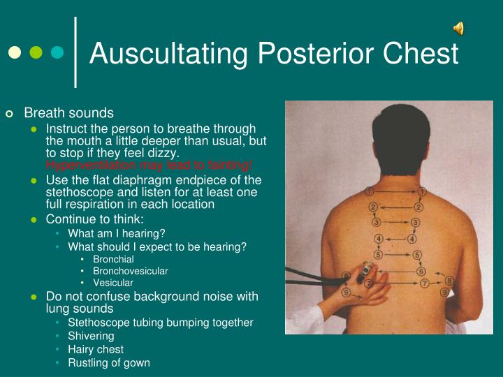 Chest Auscultation Points