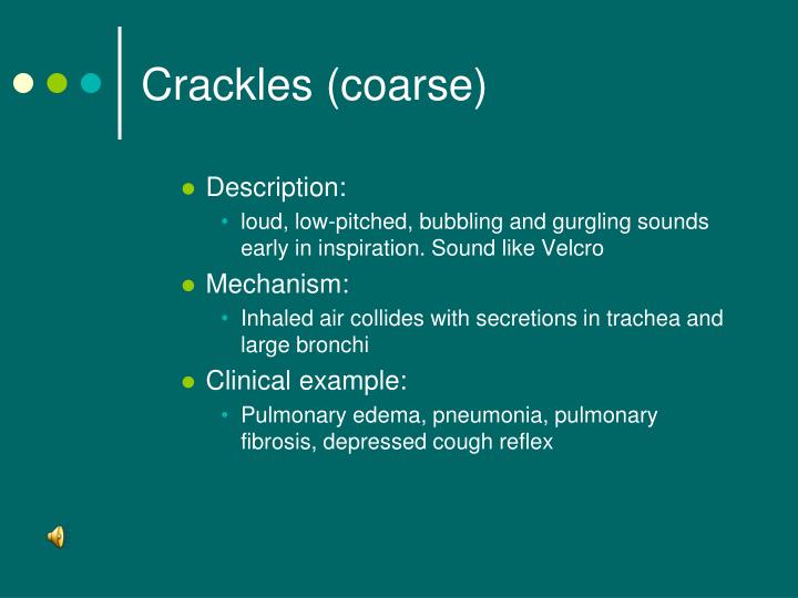 PPT Thorax and Lungs PowerPoint Presentation ID5657219
