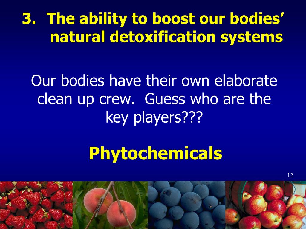 PPT - PLANT FOODS AND DISEASE PREVENTION Phytochemicals PowerPoint ...