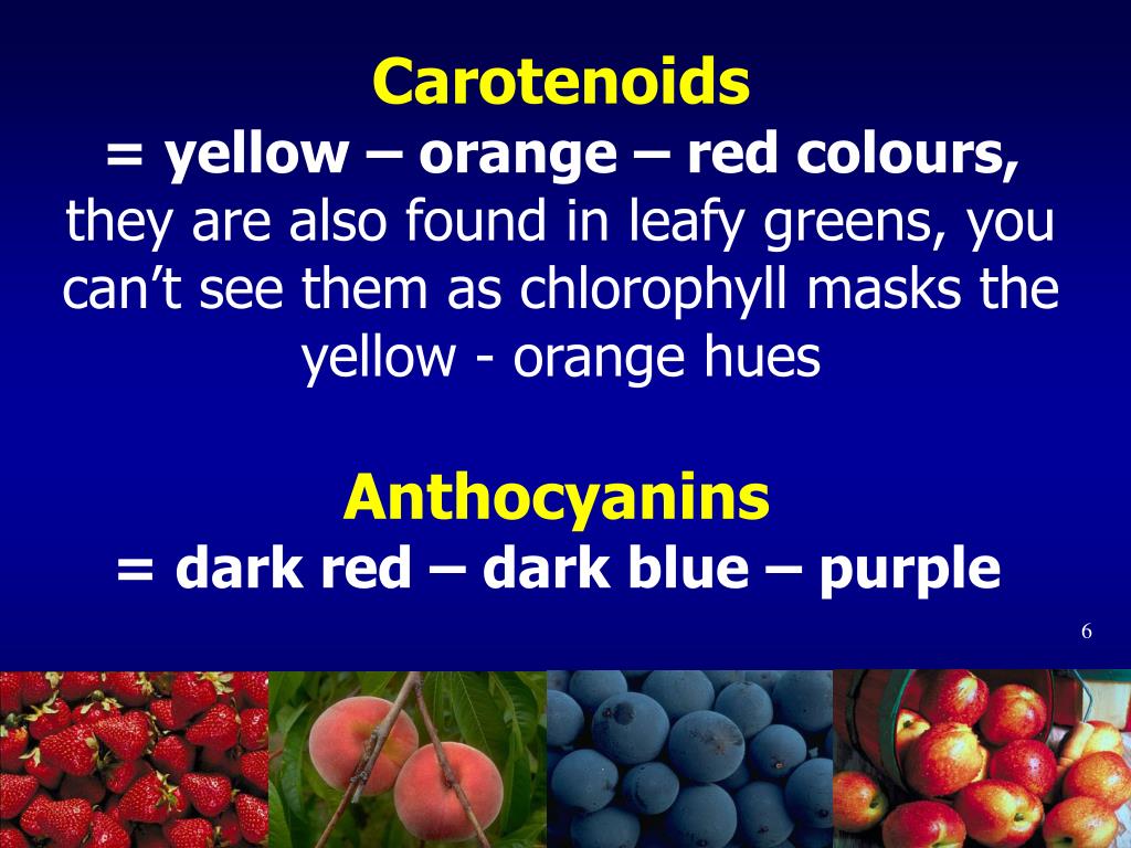 PPT - PLANT FOODS AND DISEASE PREVENTION Phytochemicals PowerPoint ...