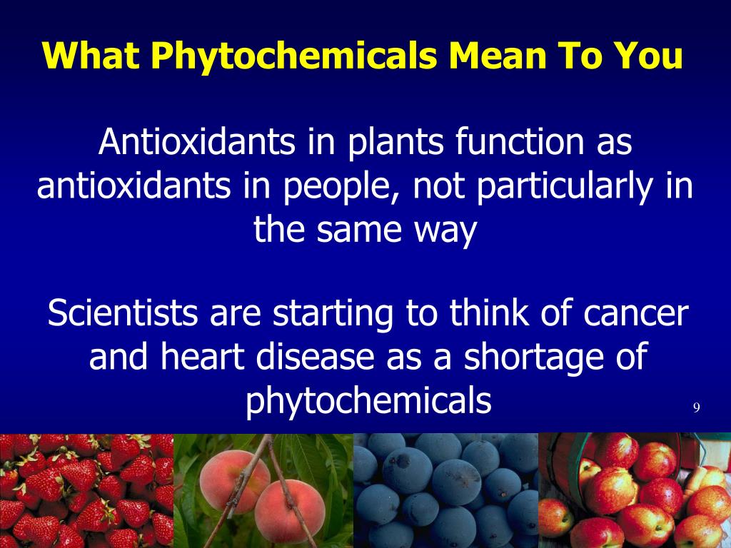 PPT - PLANT FOODS AND DISEASE PREVENTION Phytochemicals PowerPoint ...