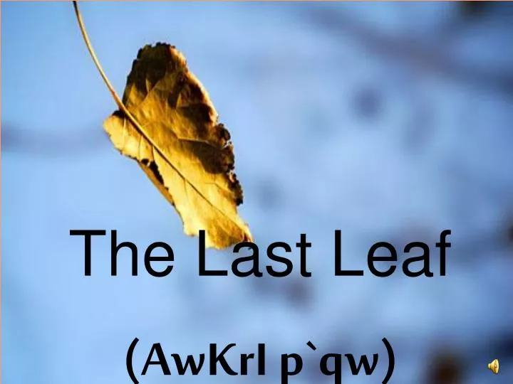 the last leaf The last leaf questions and answers - discover the enotescom community of teachers, mentors and students just like you that can answer any question you might have on the last leaf. the last leaf The last leaf questions and answers - discover the enotescom community of teachers, mentors and students just like you that can answer any question you might have on the last leaf.