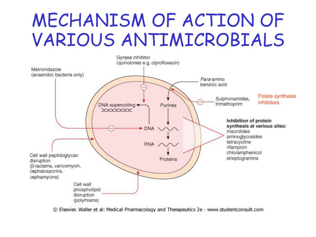 Mechanism of action. Mechanism of Action metronidazole. Mechanism of Action of rifampicin. Metronidazole механизм действия. Mechanism of Action of antimetabolites.