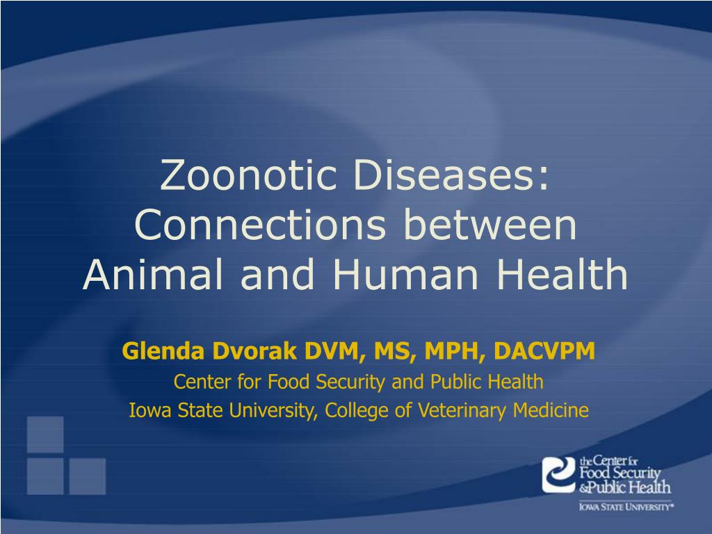 PPT - Zoonotic Diseases: Connections between Animal and Human Health PowerPoint  Presentation - ID:5664272