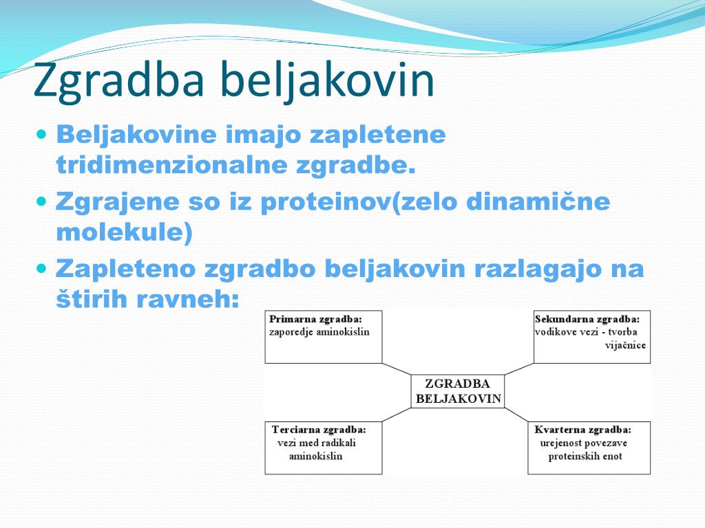 PPT - Beljakovine PowerPoint Presentation, free download - ID:5664531