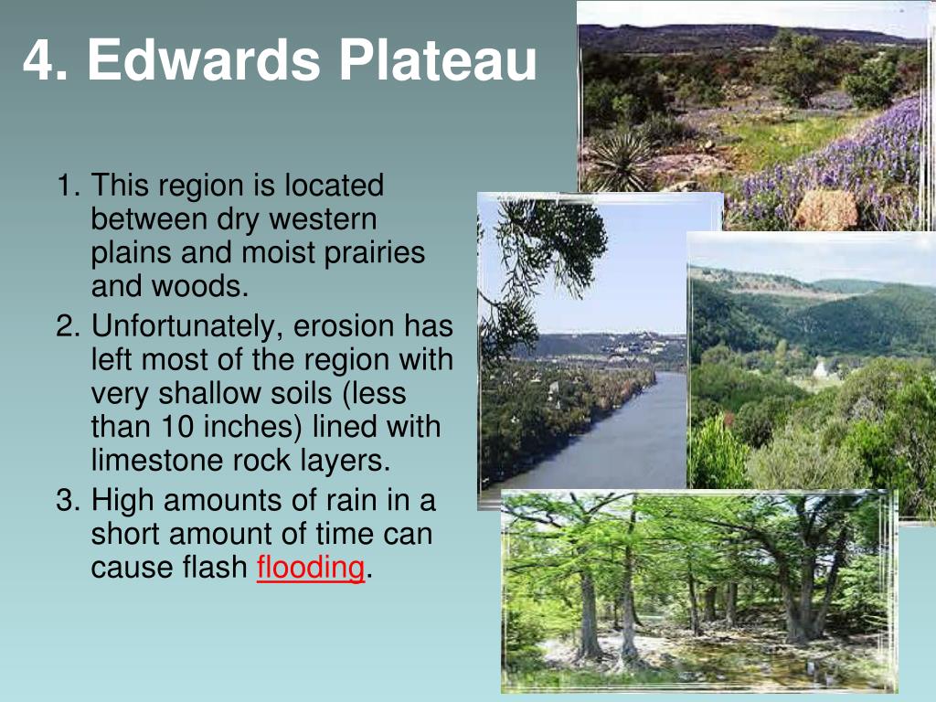 PPT - Texas Ecoregions PowerPoint Presentation, free download - ID:5664755