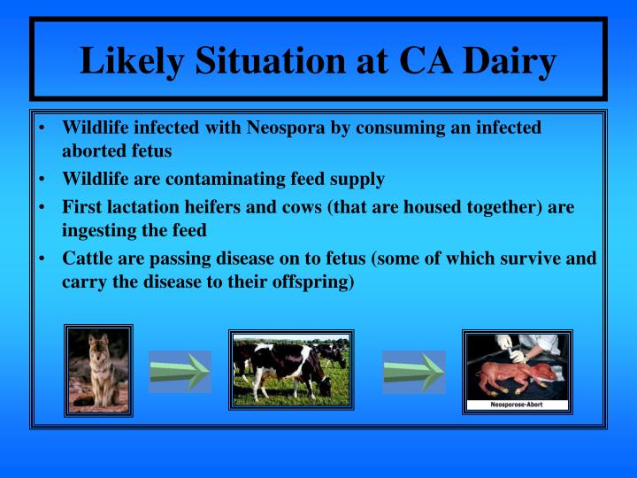 presentation california creamery inc California creamery is a simple activity-based costing case inc is another activity-based costing case that adds a few wrinkles, such as would not have been the introduction of an activity-based cost system because. presentation california creamery inc California creamery is a simple activity-based costing case inc is another activity-based costing case that adds a few wrinkles, such as would not have been the introduction of an activity-based cost system because.