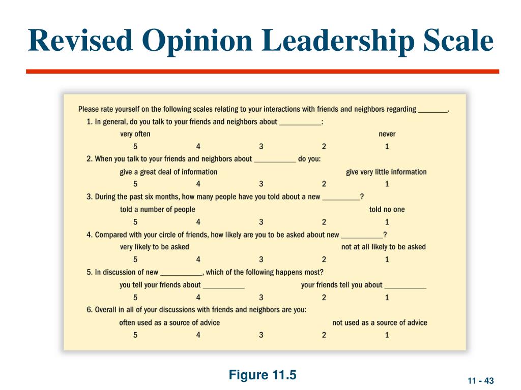 research paper opinion leadership