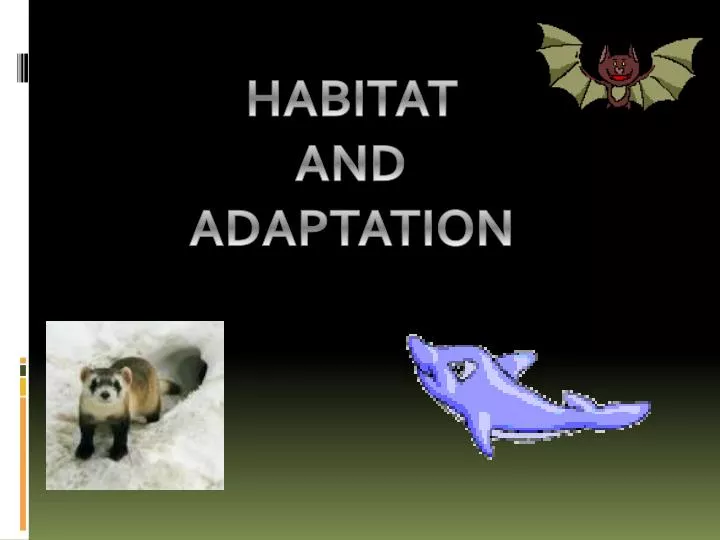 PPT - HABITAT AND ADAPTATION PowerPoint Presentation, free download - ID:5666629 PPT - HABITAT AND ADAPTATION PowerPoint Presentation, free download - ID:5666629