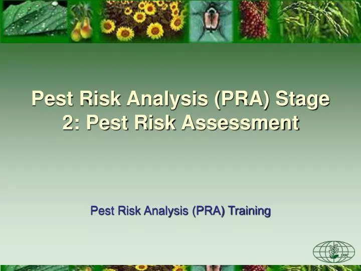 PPT - Pest Risk Analysis (PRA) Stage 2: Pest Risk Assessment PowerPoint ...
