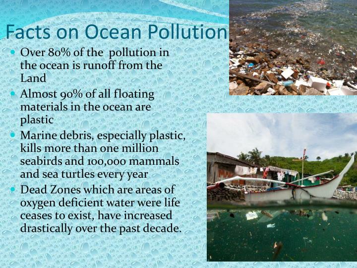 PPT - Ocean Pollution PowerPoint Presentation - ID:5667015