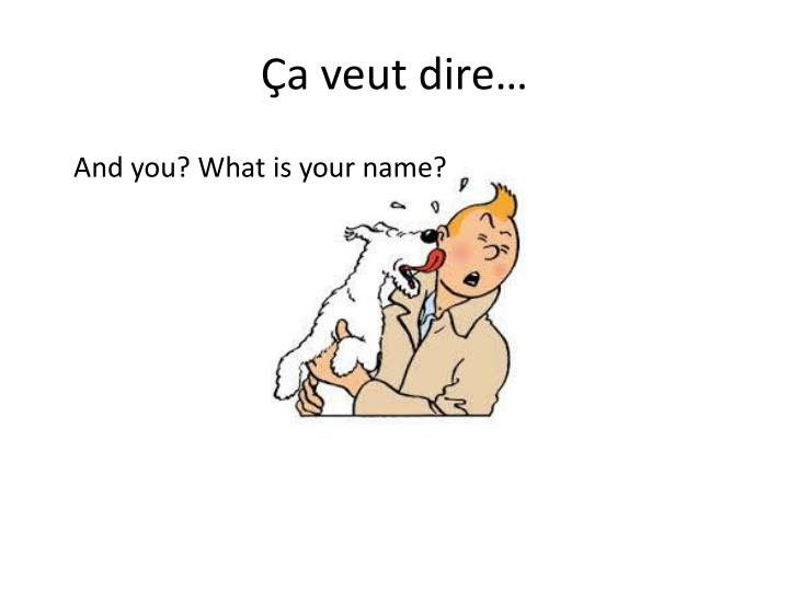 Que Veut Dire What's Your Name