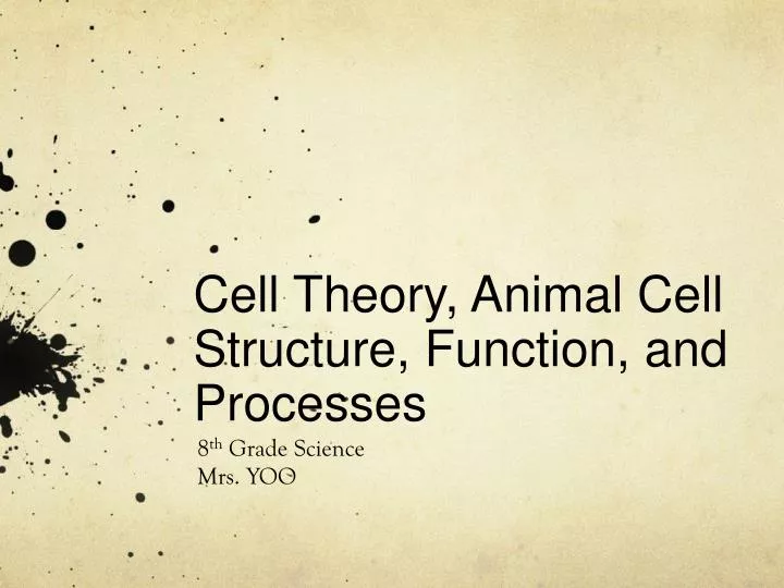 cell theory animal cell structure function and processes n.