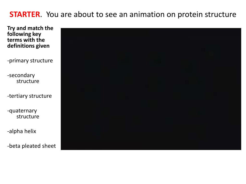 PPT - STARTER . You are about to see an animation on protein structure  PowerPoint Presentation - ID:5667790