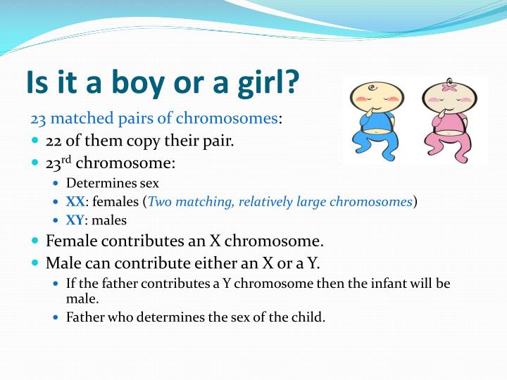 factor and hazards in infant development An overview of the risk and protective factors for child abuse and and promote healthy development and child and the safety and wellbeing of. factor and hazards in infant development An overview of the risk and protective factors for child abuse and and promote healthy development and child and the safety and wellbeing of.