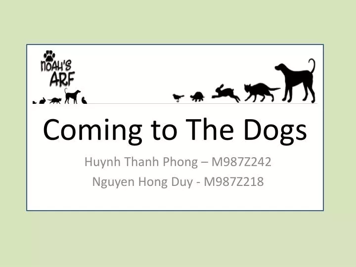 coming to the dogs n.