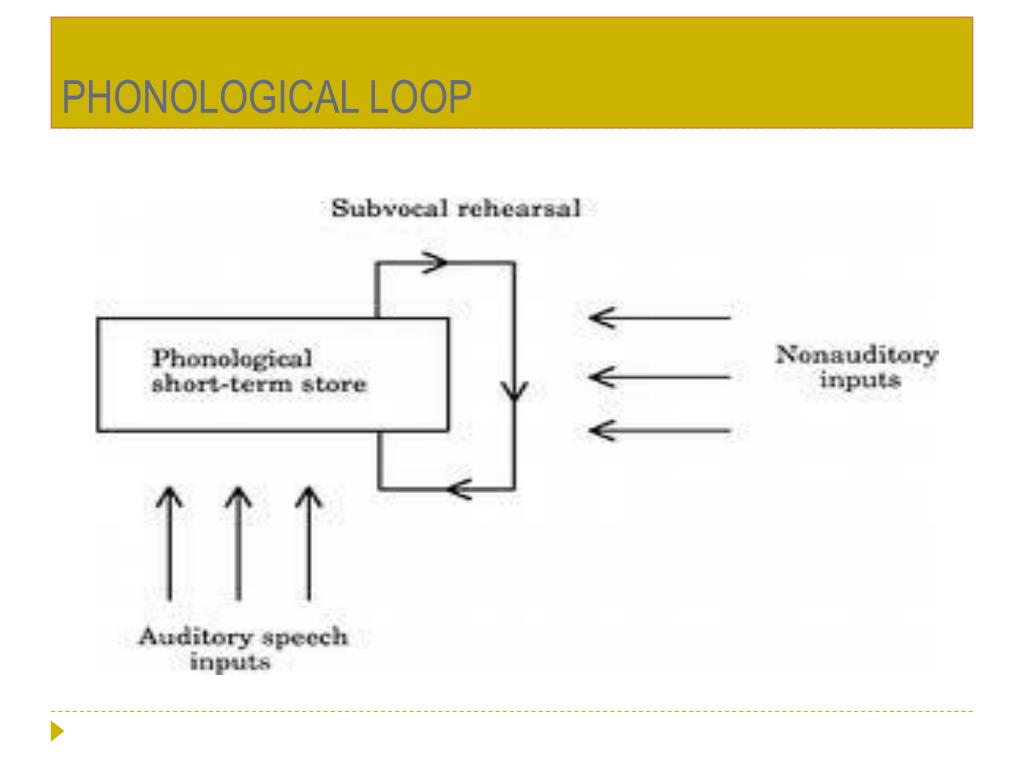 PPT Memory PowerPoint Presentation Free Download ID 5670289 PPT Memory PowerPoint Presentation Free Download ID 5670289