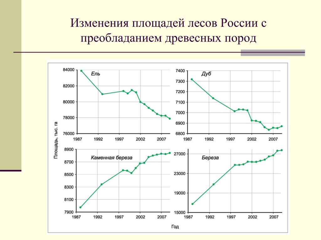 Количество лесов в россии. Площадь лесов в России по годам таблица. Площадь лесов в РФ по годам. Динамика площади лесов в России. Динамика изменения площади лесов в России.