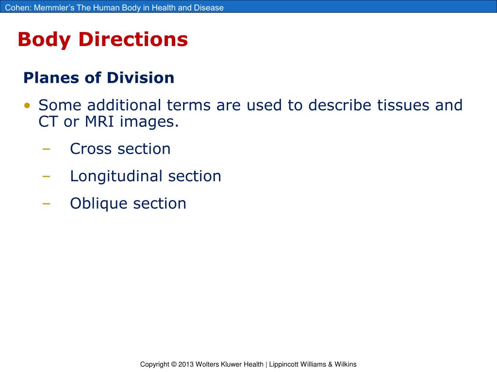 PPT - Chapter 1: Organization of the Human Body PowerPoint Presentation