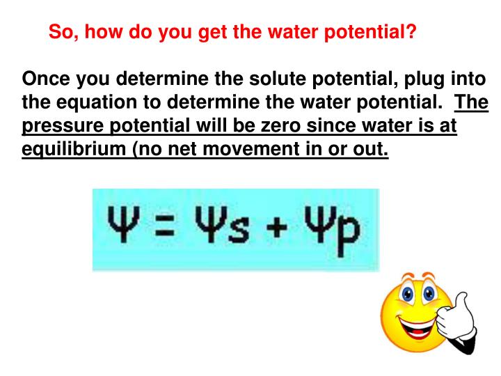 water potential equation