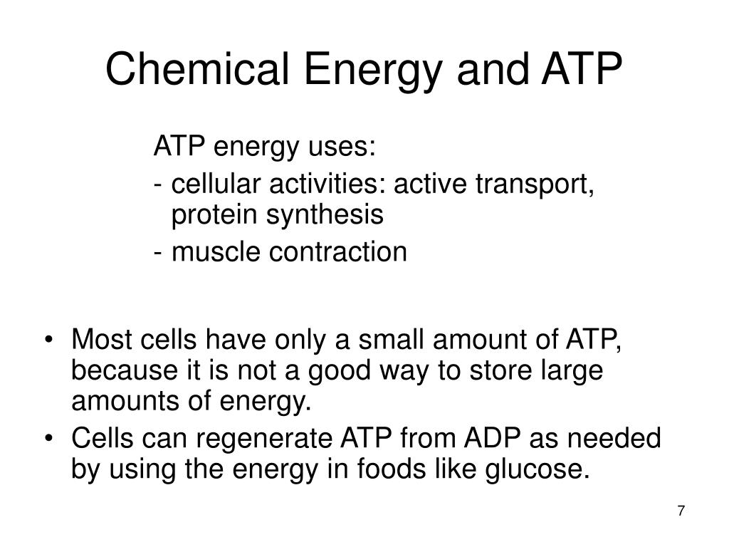 PPT - Energy Flow Through Living Things: Photosynthesis & Cellular ...