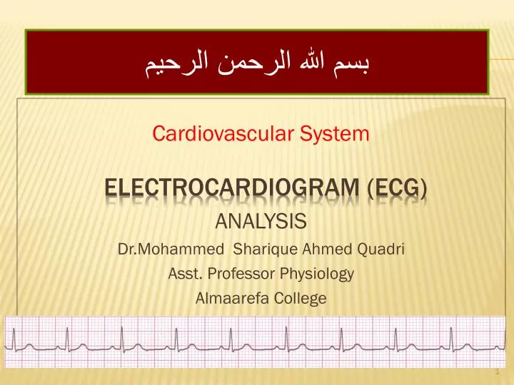 electrocardiogram ecg n.