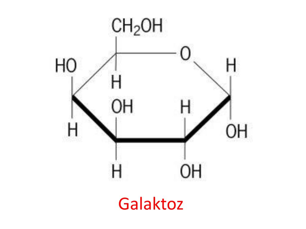 Галактоза что это
