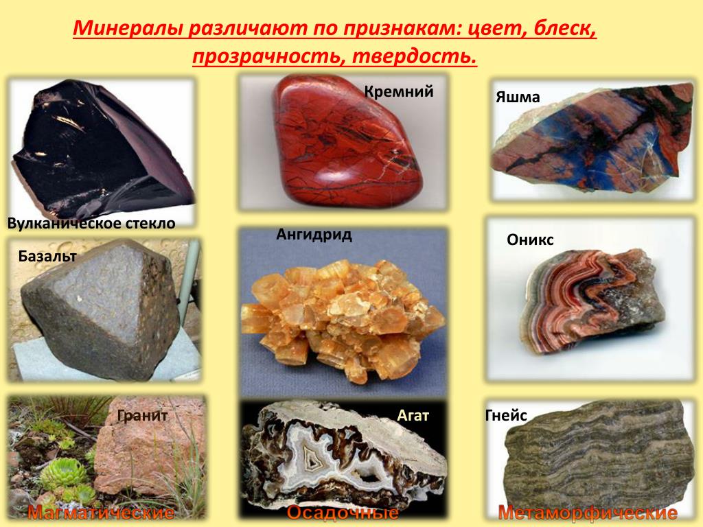 Приведи примеры минералы. Горные породы минералы и полезные ископаемые. Горные породы и минералы названия. Виды горных пород. Горный походы и миниралы.