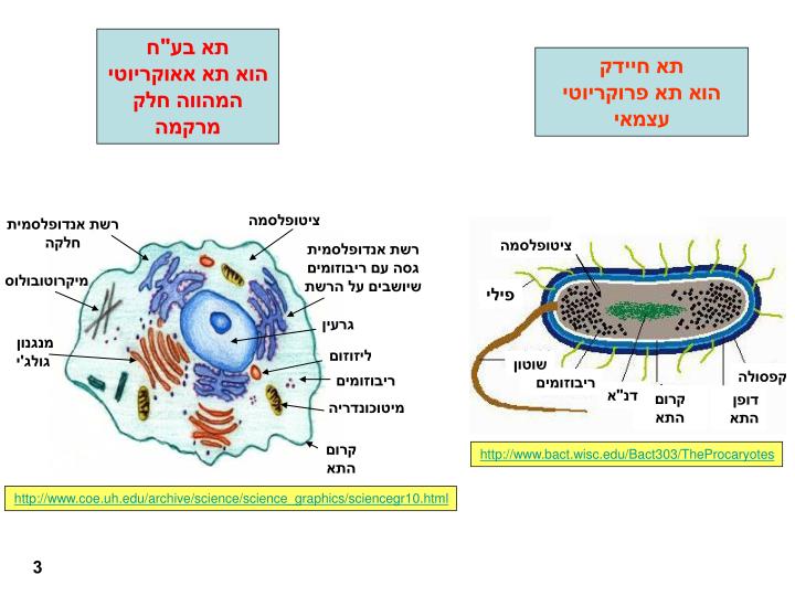 PPT - מבוא - גישות חלופיות להפקת תוצרים מבע
