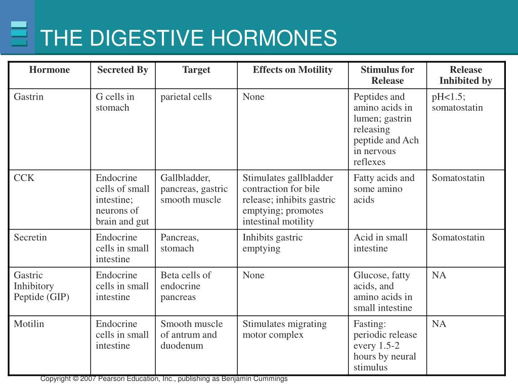 PPT - Digestive Hormones PowerPoint Presentation, free download - ID