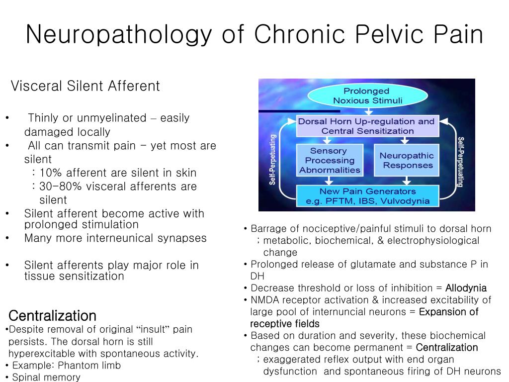 PPT - Chronic Pelvic Pain Pelvic Congestion Syndrome PowerPoint