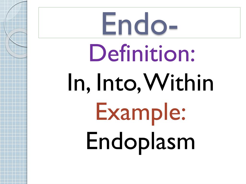 endo meaning philippines endo meaning philippines