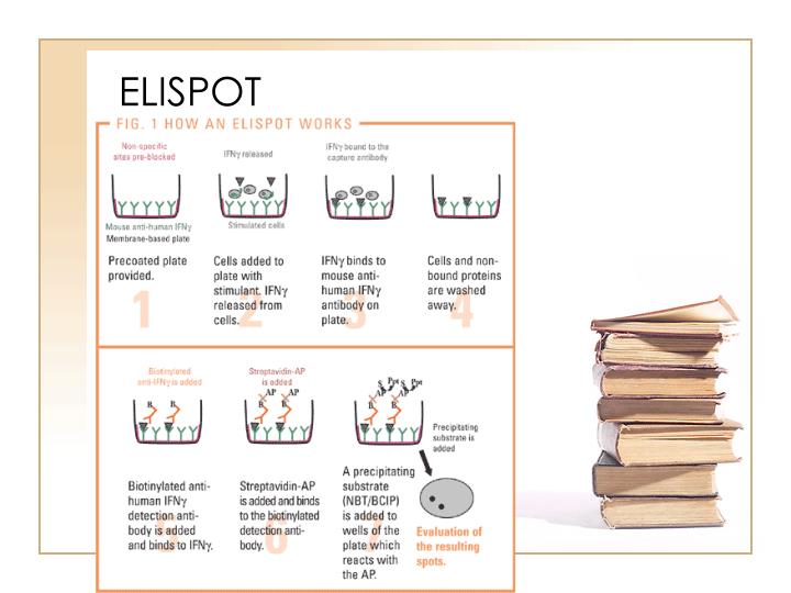 elispot assay ppt elispot assay ppt