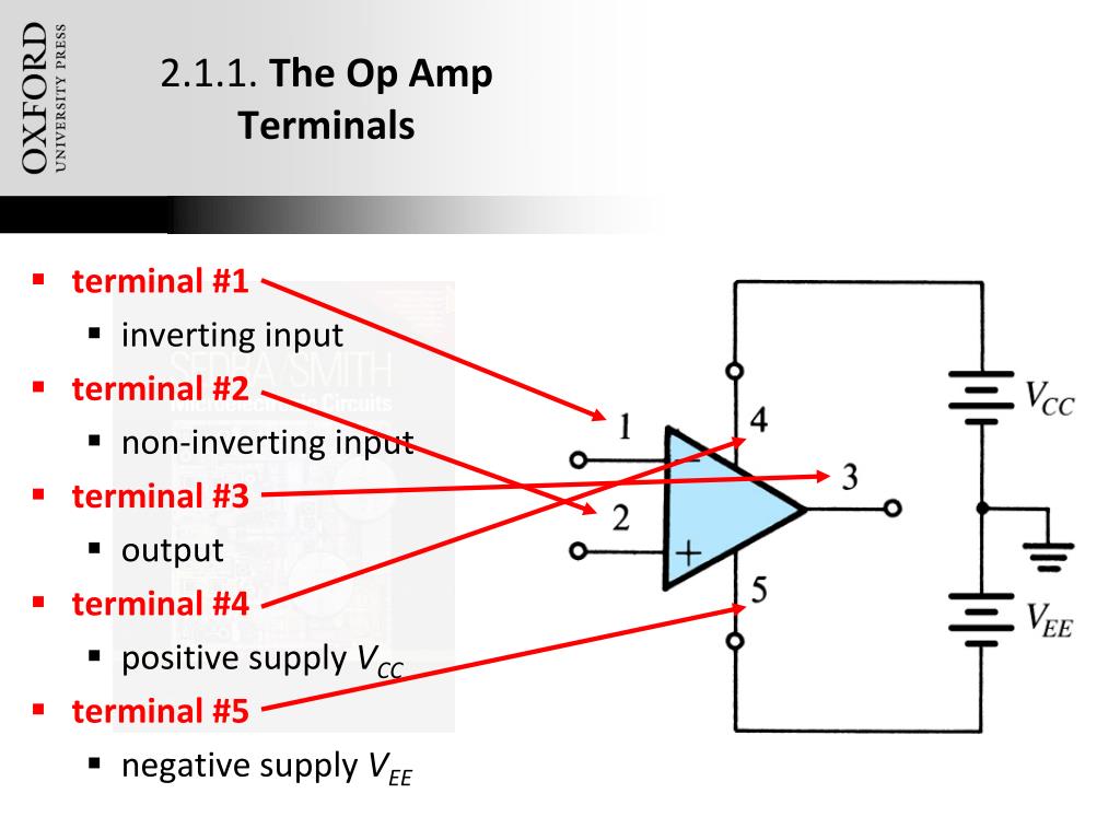 PPT - Chapter #2: Signals And Amplifiers PowerPoint Presentation, Free ...