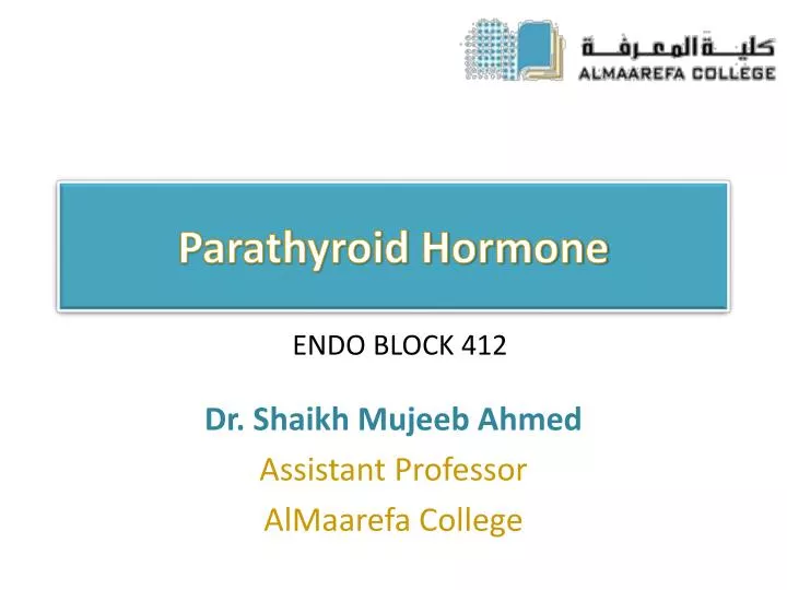 parathyroid hormone n.