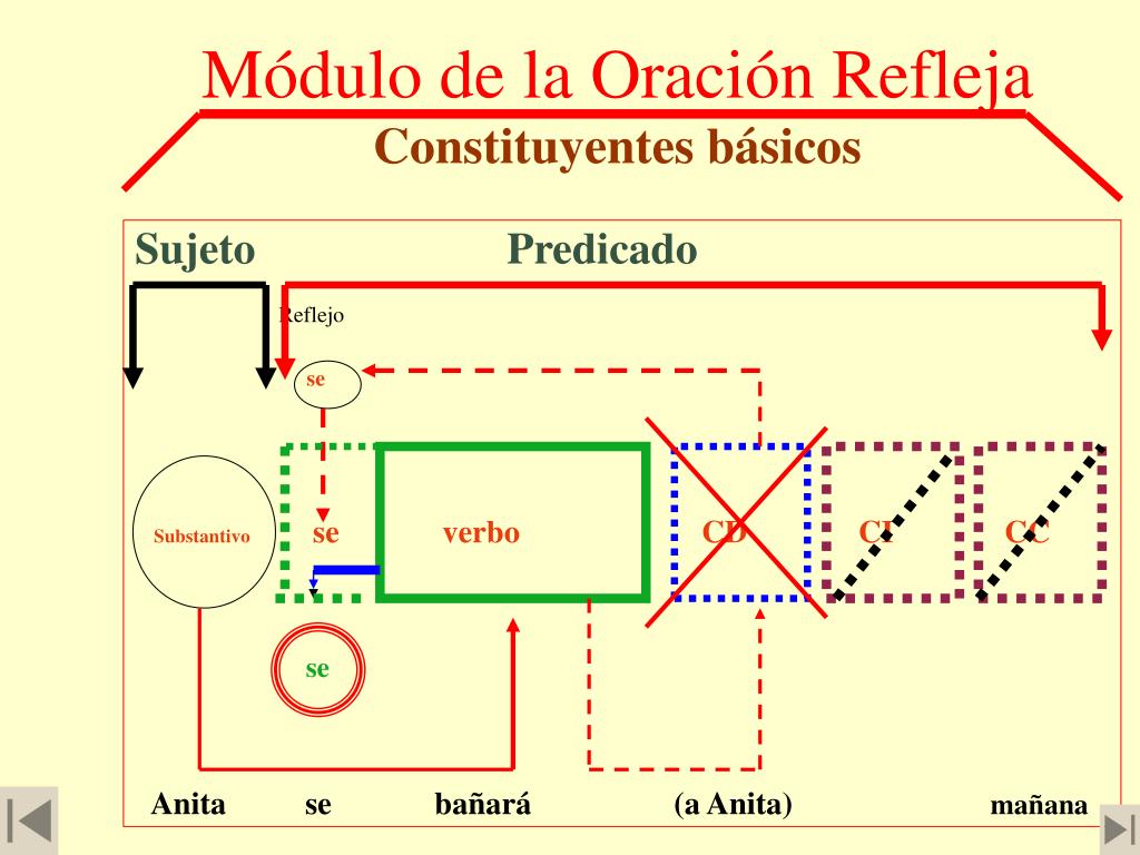 Ppt Sintaxis De La Oración Simple Powerpoint Presentation Free